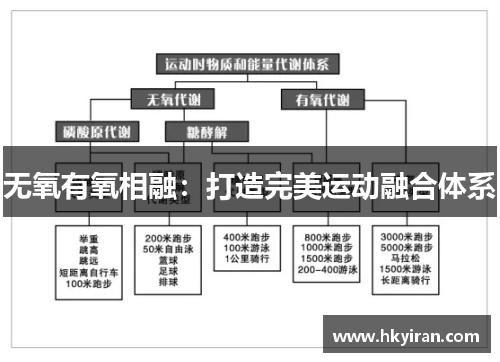 无氧有氧相融：打造完美运动融合体系